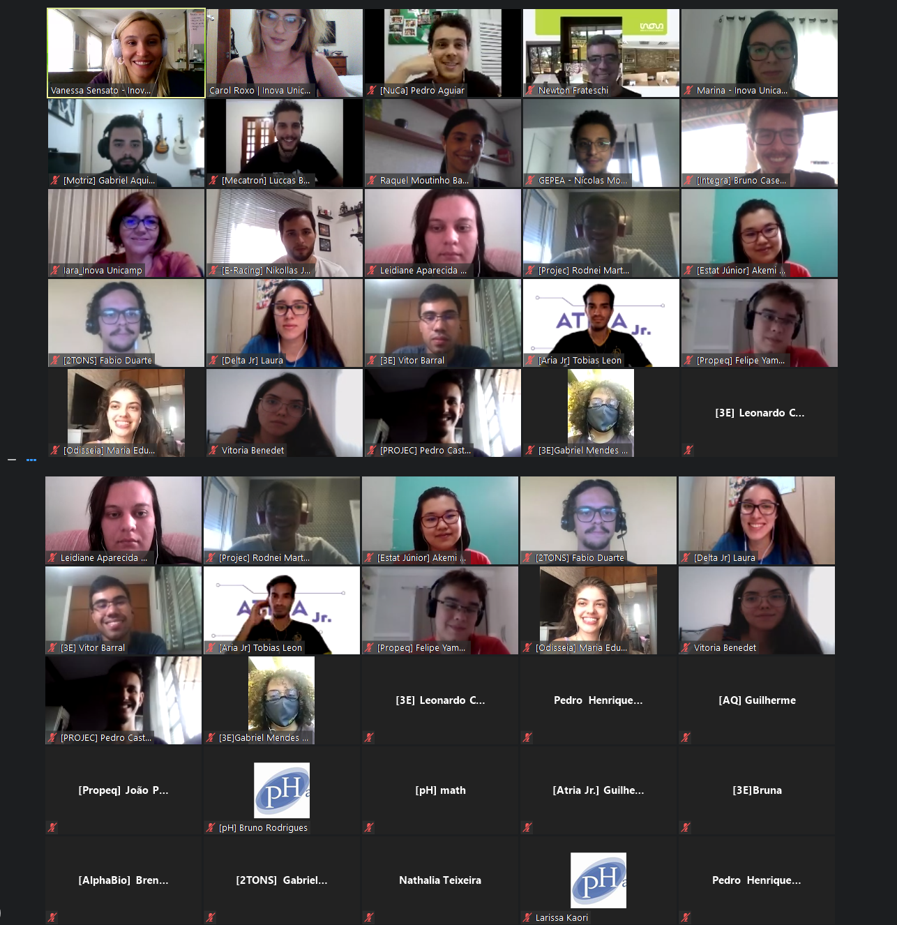 Imagem printada da tela do computador mostrando os participantes de câmera aberta da reunião entre a Inova Unicamp e as Empresas Juniores.