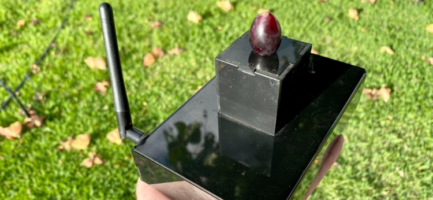 Aparelho para medição de atributos de qualidade da uva, tecnologia desenvolvida na Unicamp. O aparelho é preto, e está sendo segurado por uma mão. Em cima do aparelho está uma uva.