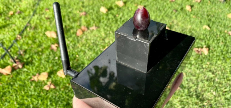 Aparelho para medição de atributos de qualidade da uva, tecnologia desenvolvida na Unicamp. O aparelho é preto, e está sendo segurado por uma mão. Em cima do aparelho está uma uva.