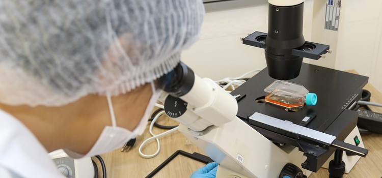 Pesquisadora mulher olha amostra pelo microscópio