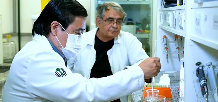 Dois pesquisadores homens na bancada do laboratório. Um é descendente de asiáticos e o outro tem cabelos brancos e usa óculos. Fim da descrição.