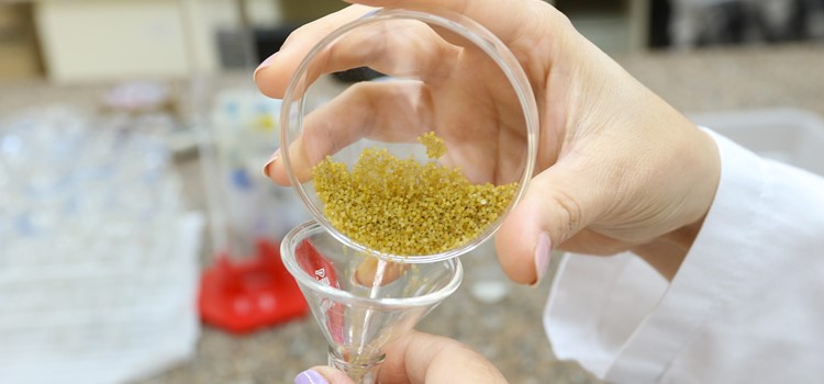 Imagem em destaque da extração de sericina em tubos de ensaio, nas mãos de uma pesquisadora. Fim da descrição.