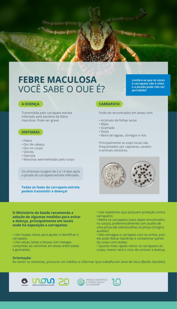 Banner explicativo sobre prevenção da Febre Maculosa, com as principais informações sobre o carrapato estrela, sintomas, prevenção e tratamento.