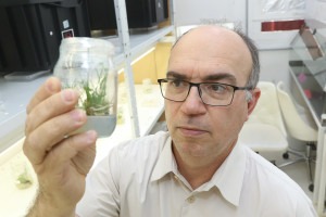 O professor Marcelo Menossi, um homem branco, calvo que usa óculos, segura um pote de vidro onde está uma muda em crescimento. Ao fundo há equipamentos e uma prateleira com outras plantas e caixas pretas. Fim da descrição.