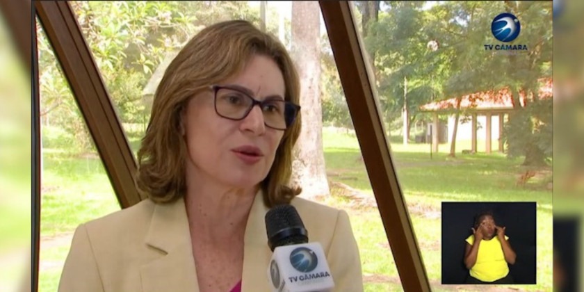 Captura de tela. Professora Ana Frattini dá entrevista para TV Câmara de Campinas. Ela é uma mulher loira, usa óculo de armação quadrada. Fim da descrição.